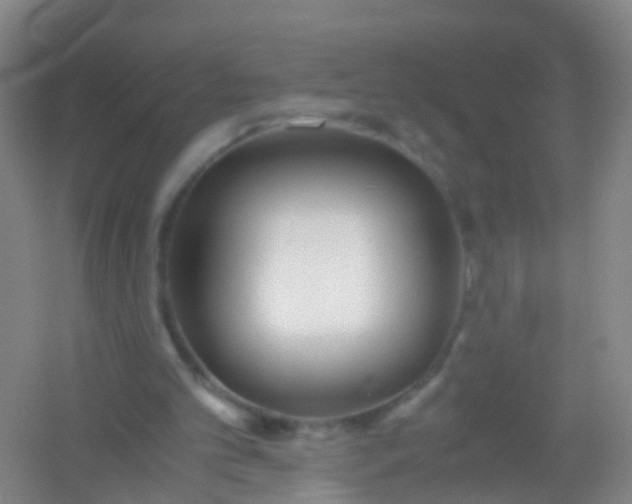 X0000054470101200508122014