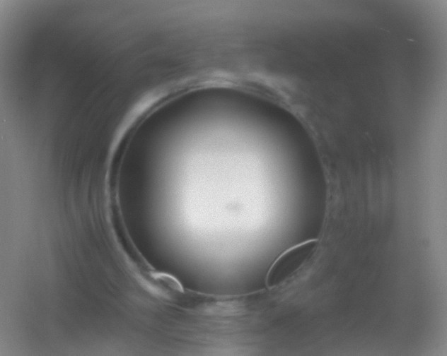 X0000054470102200508122014