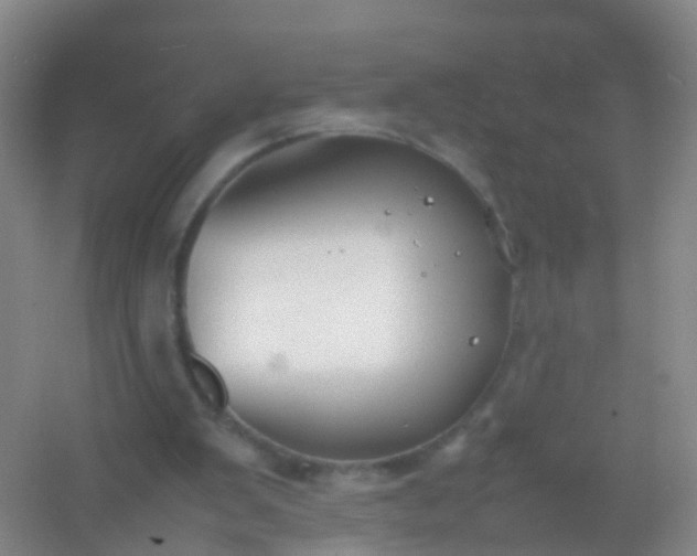 X0000054470103200508122014