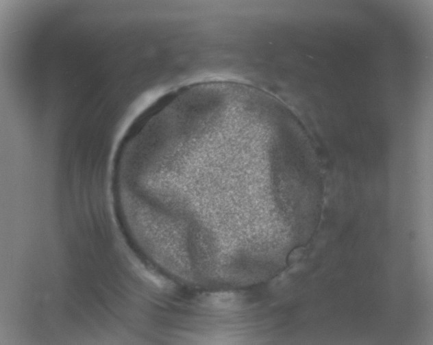 X0000054470104200508122014