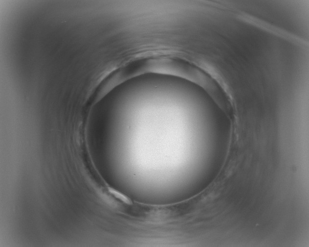 X0000054470105200508122014