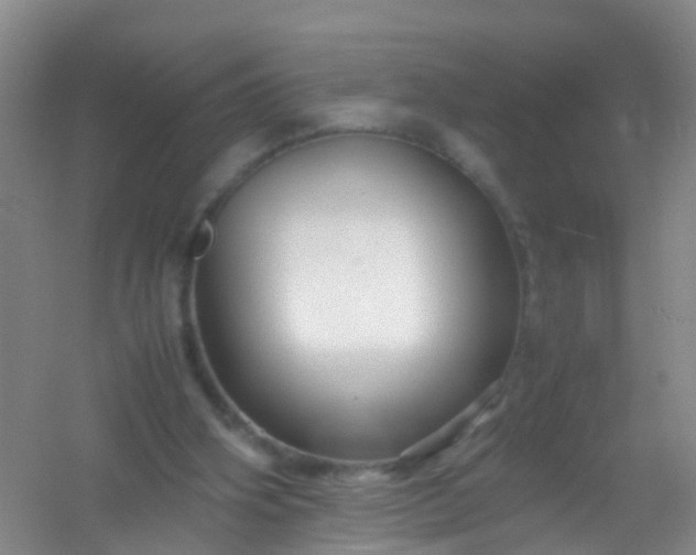 X0000054470106200508122014