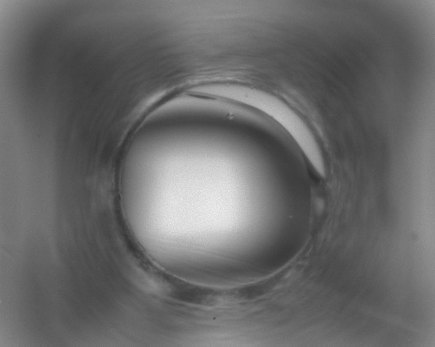 X0000054470107200508122014