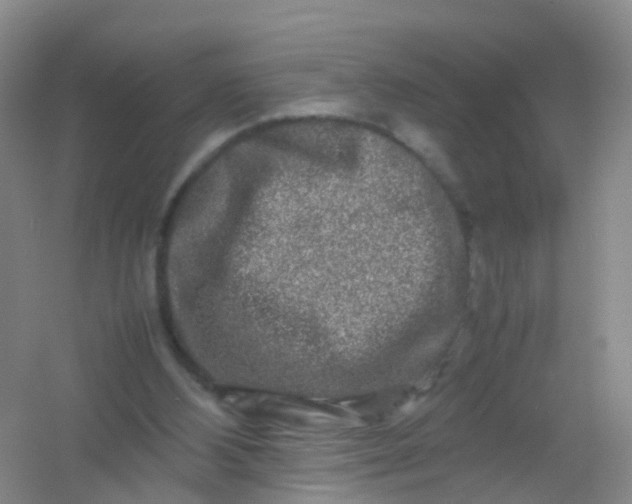 X0000054470108200508122014