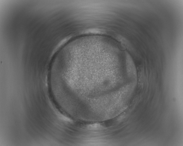 X0000054470112200508122014