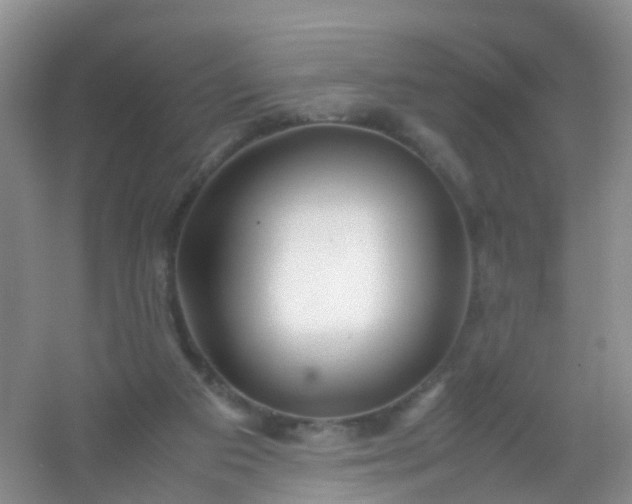 X0000054470113200508122014