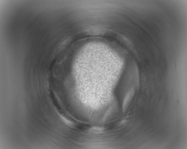 X0000054470114200508122014