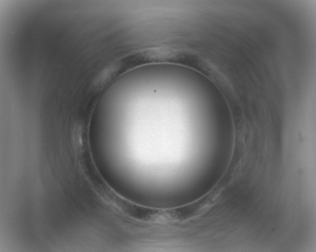 X0000054470115200508122014