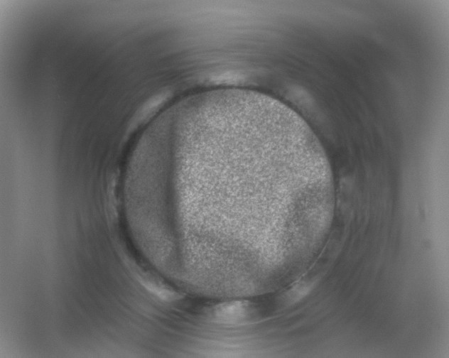 X0000054470116200508122014