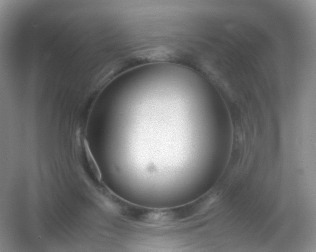 X0000054470117200508122014