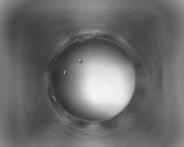 X0000054470119200508122014