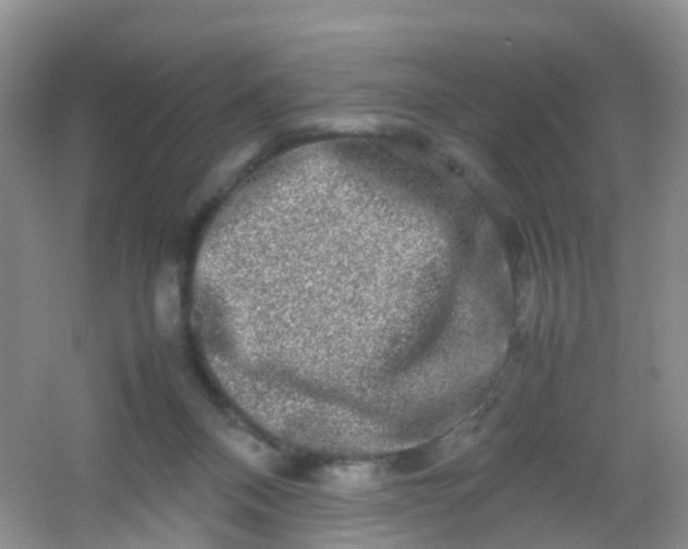 X0000054470120200508122014