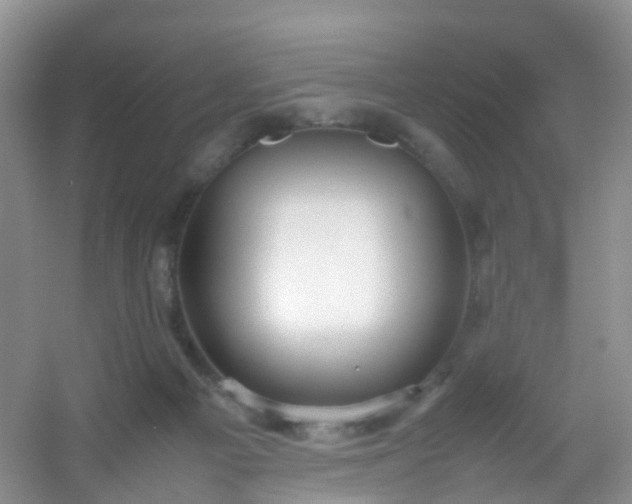 X0000054470121200508122013