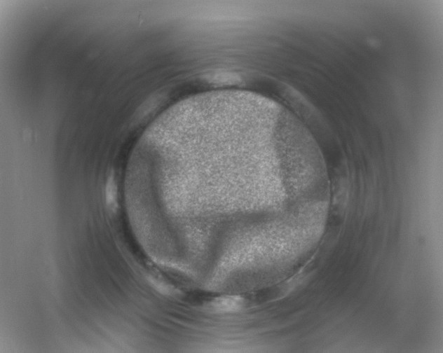 X0000054470124200508122013