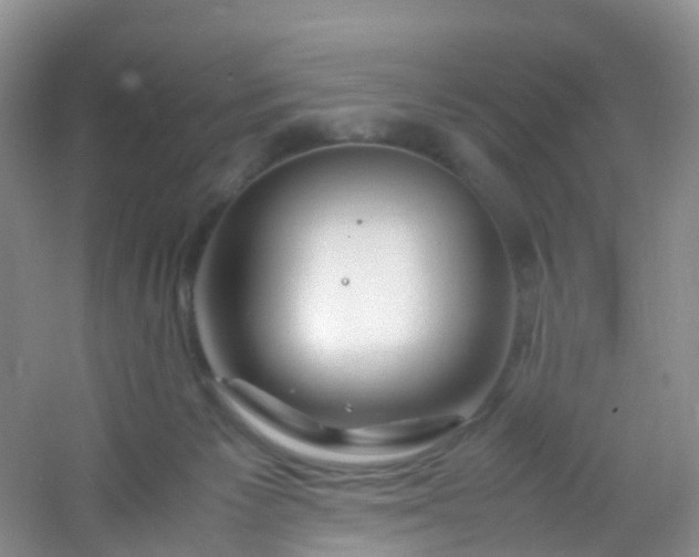 X0000054470125200508122013