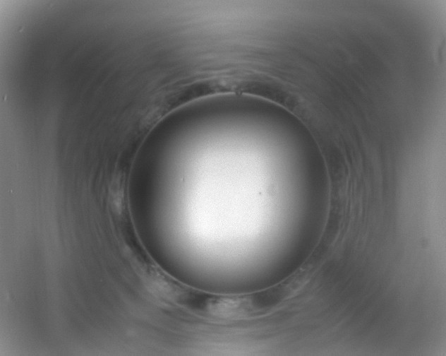 X0000054470129200508122013