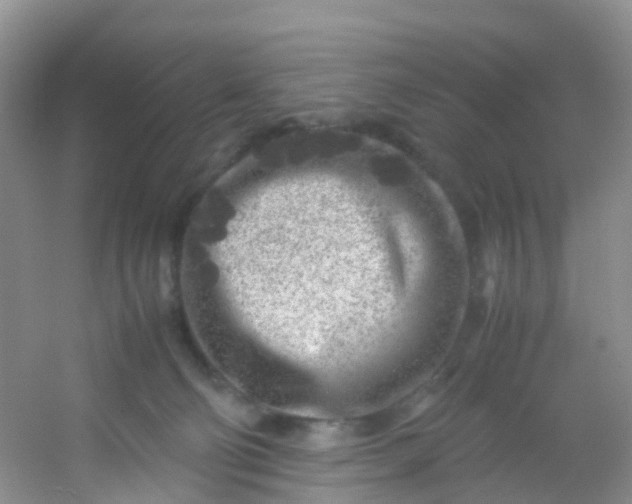 X0000054470130200508122013