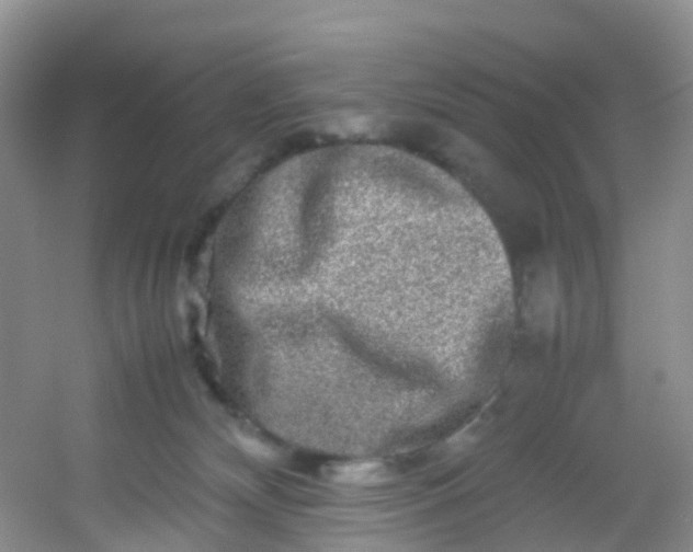 X0000054470132200508122013