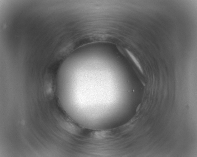 X0000054470134200508122013