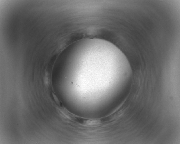 X0000054470135200508122013