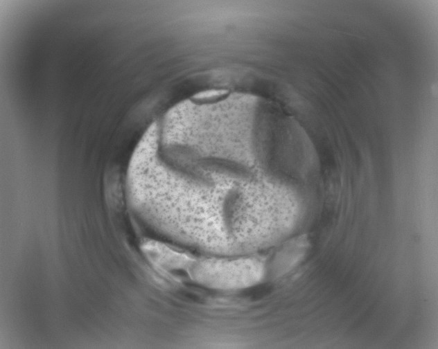 X0000054470137200508122013