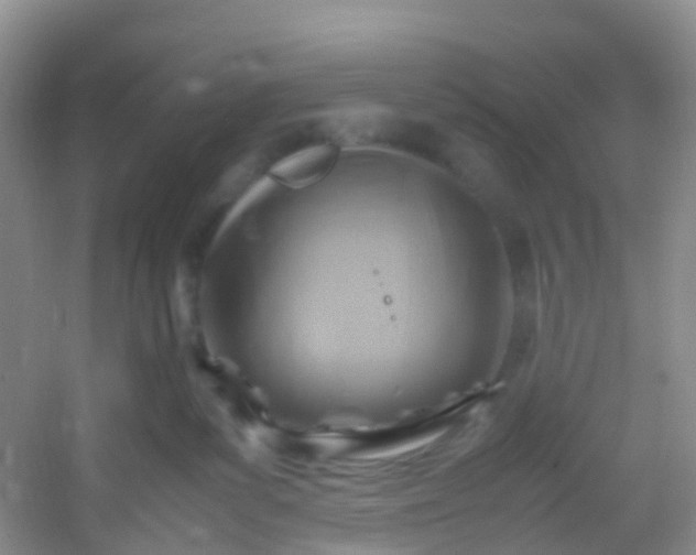 X0000054470139200508122013