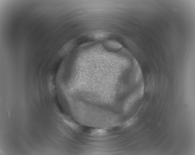 X0000054470140200508122013