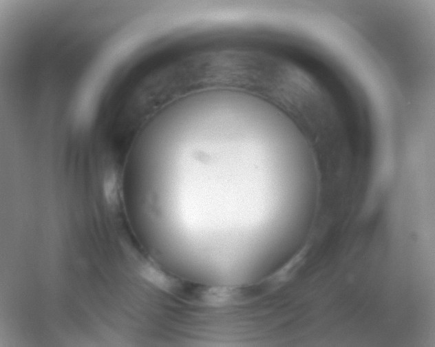 X0000054470142200508122013