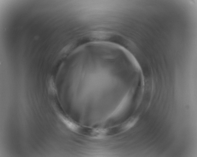 X0000054470143200508122013