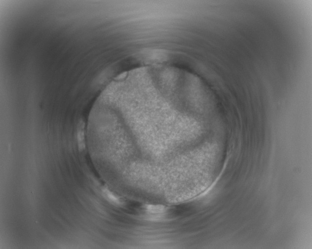 X0000054470144200508122013