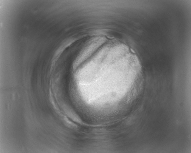 X0000054470145200508122012