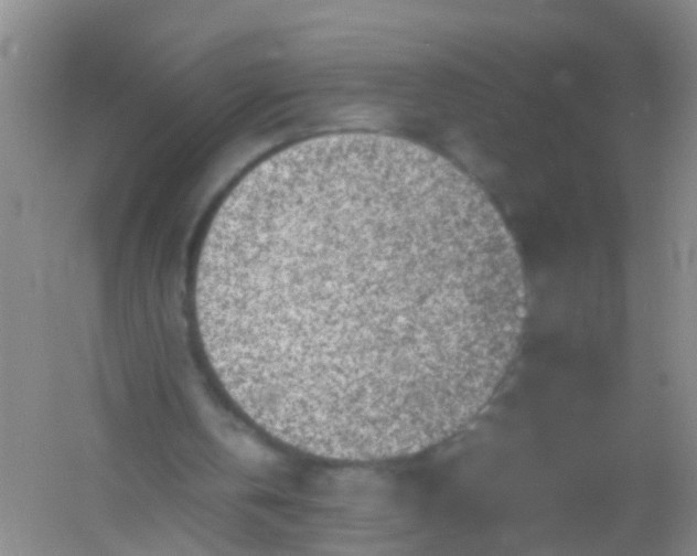 X0000054470146200508122012