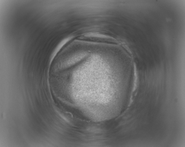 X0000054470147200508122012