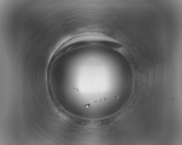 X0000054470148200508122012