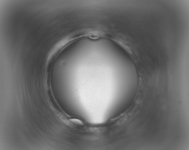 X0000054470149200508122012