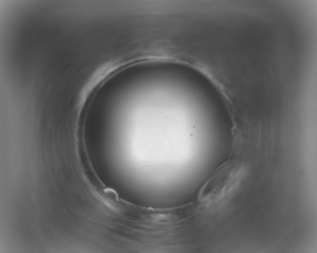 X0000054470151200508122012