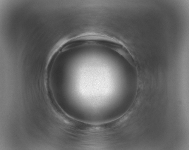 X0000054470152200508122012