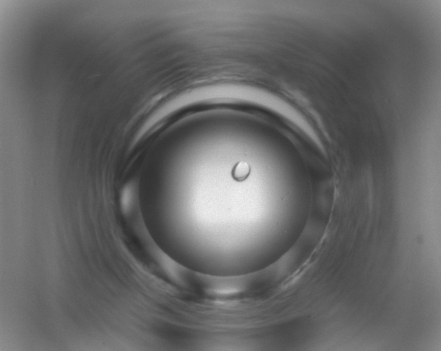 X0000054470154200508122012