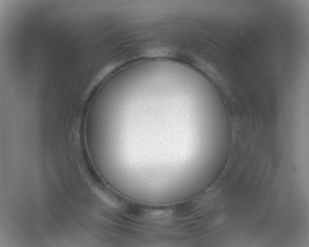 X0000054470155200508122012