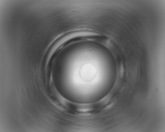 X0000054470156200508122012