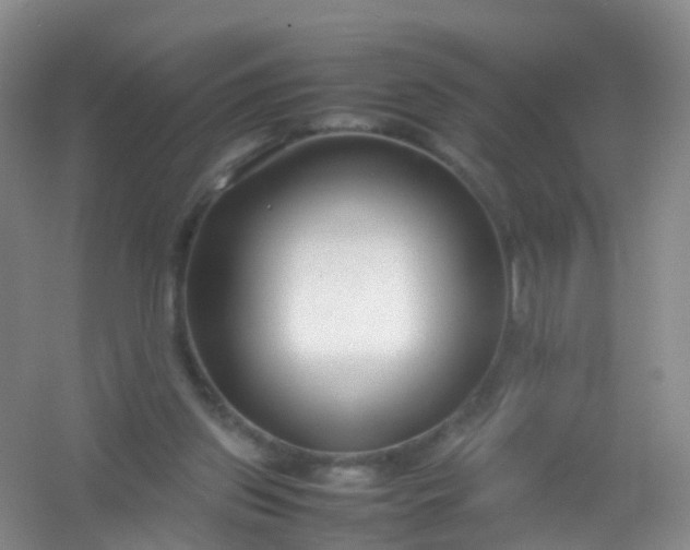 X0000054470157200508122012