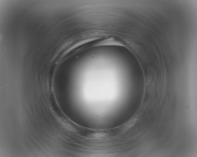 X0000054470158200508122012