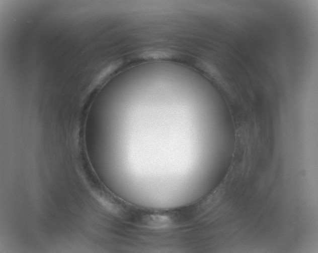 X0000054470159200508122013