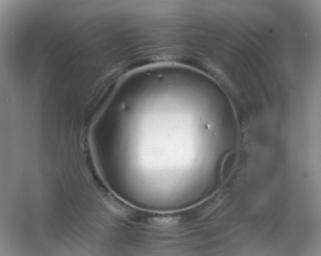 X0000054470161200508122013