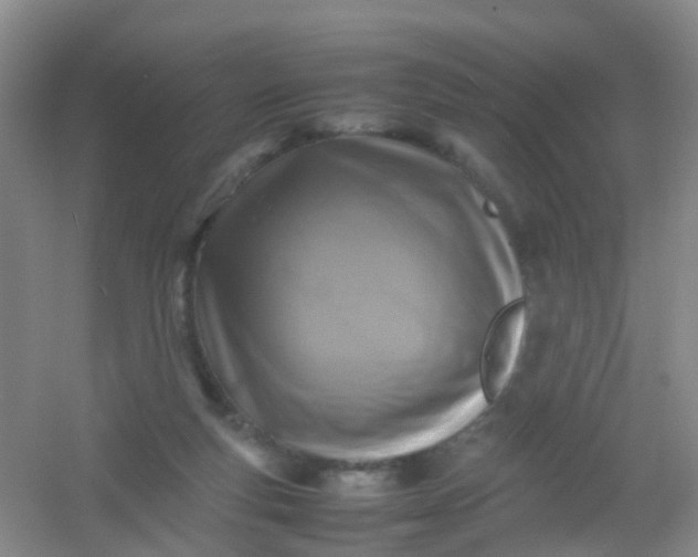 X0000054470163200508122013