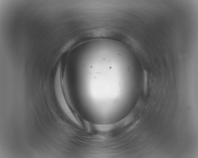 X0000054470164200508122013