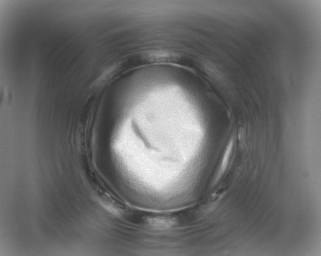 X0000054470165200508122013