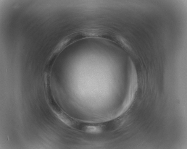 X0000054470167200508122013