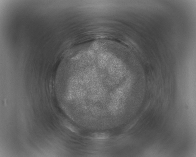 X0000054470169200508122013