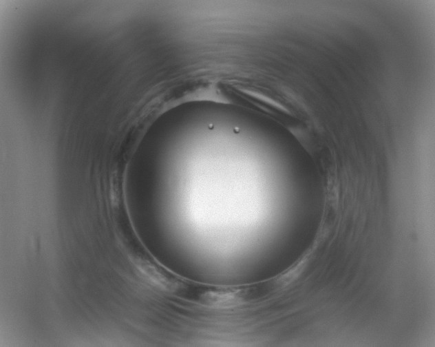 X0000054470170200508122013